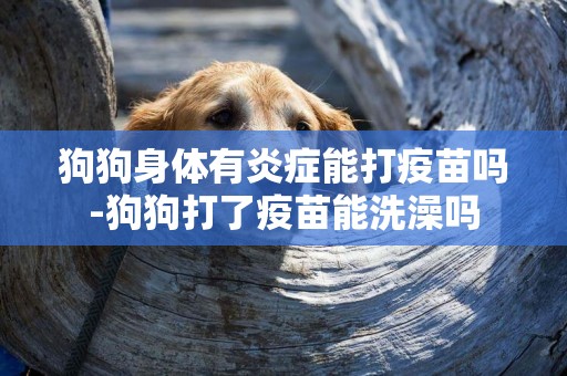 狗狗身體有炎癥能打疫苗嗎-狗狗打了疫苗能洗澡嗎