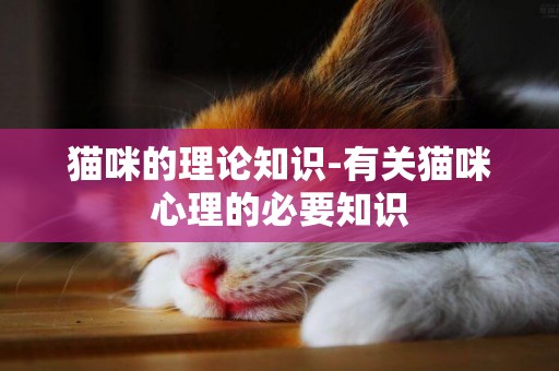 貓咪的理論知識-有關貓咪心理的必要知識