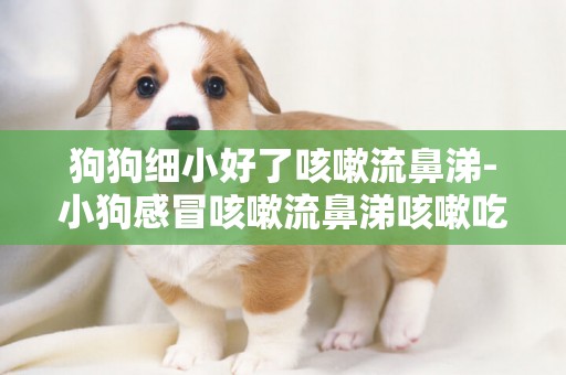 狗狗細小好了咳嗽流鼻涕-小狗感冒咳嗽流鼻涕咳嗽吃什么藥