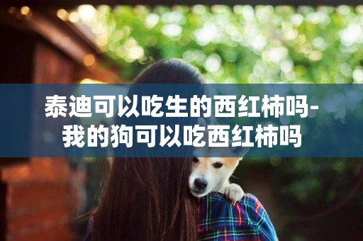 泰迪可以吃生的西紅柿嗎-我的狗可以吃西紅柿嗎
