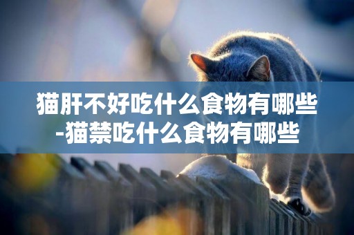 貓肝不好吃什么食物有哪些-貓禁吃什么食物有哪些