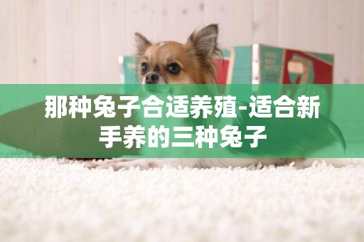 那種兔子合適養殖-適合新手養的三種兔子