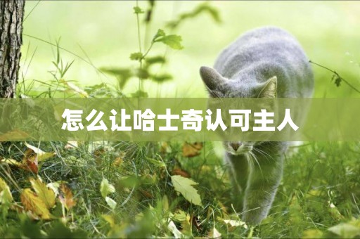 怎么讓哈士奇認可主人