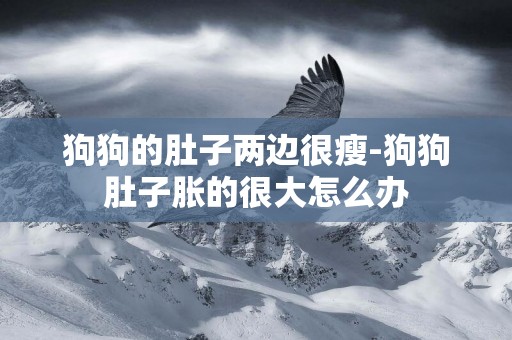 狗狗的肚子兩邊很瘦-狗狗肚子脹的很大怎么辦