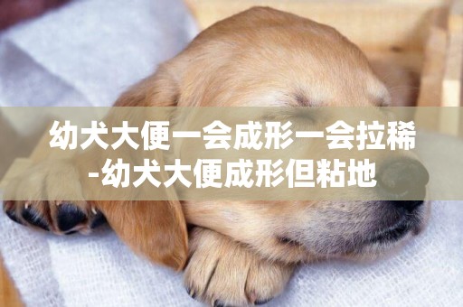 幼犬大便一會成形一會拉稀-幼犬大便成形但粘地