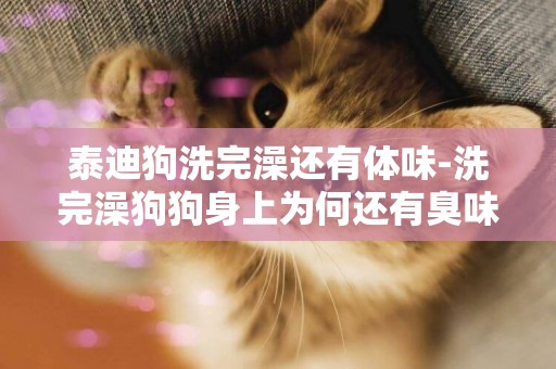 泰迪狗洗完澡還有體味-洗完澡狗狗身上為何還有臭味