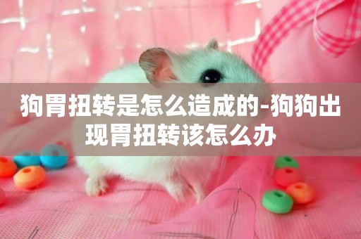 狗胃扭轉是怎么造成的-狗狗出現胃扭轉該怎么辦