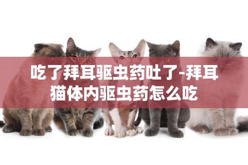 吃了拜耳驅蟲藥吐了-拜耳貓體內驅蟲藥怎么吃
