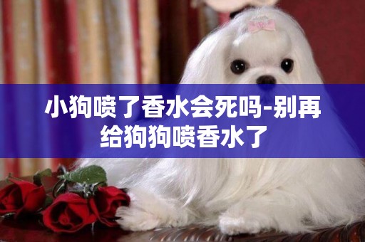 小狗噴了香水會死嗎-別再給狗狗噴香水了