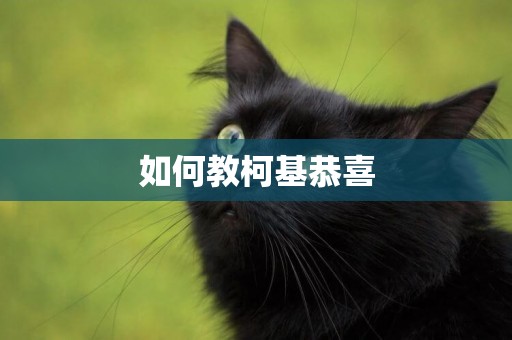 如何教柯基恭喜