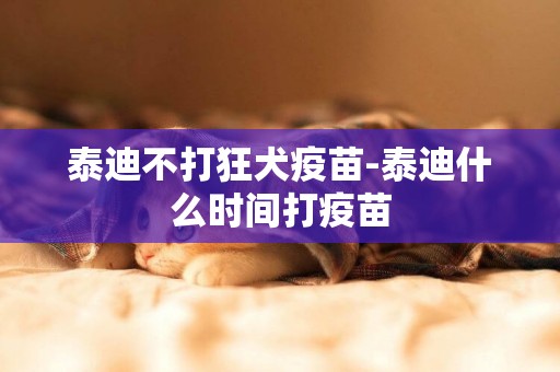 泰迪不打狂犬疫苗-泰迪什么時間打疫苗