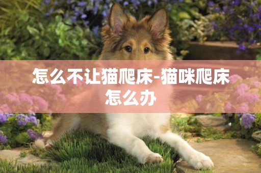 怎么不讓貓爬床-貓咪爬床怎么辦