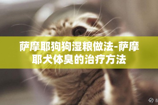 薩摩耶狗狗濕糧做法-薩摩耶犬體臭的治療方法