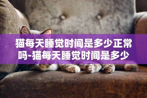 貓每天睡覺時間是多少正常嗎-貓每天睡覺時間是多少合適