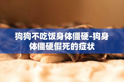 狗狗不吃飯身體僵硬-狗身體僵硬假死的癥狀