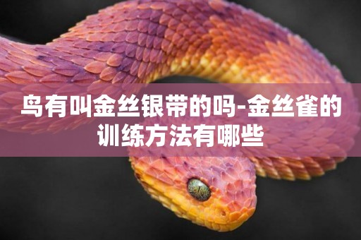鳥有叫金絲銀帶的嗎-金絲雀的訓練方法有哪些