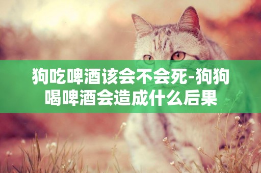 狗吃啤酒該會不會死-狗狗喝啤酒會造成什么后果