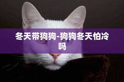 冬天帶狗狗-狗狗冬天怕冷嗎