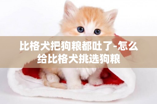 比格犬把狗糧都吐了-怎么給比格犬挑選狗糧