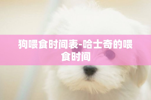 狗喂食時間表-哈士奇的喂食時間