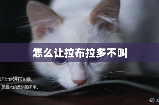 怎么讓拉布拉多不叫