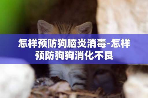 怎樣預防狗腦炎消毒-怎樣預防狗狗消化不良