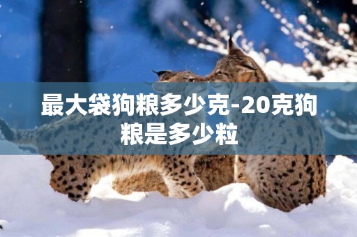 最大袋狗糧多少克-20克狗糧是多少粒