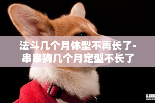 法斗幾個月體型不再長了-串串狗幾個月定型不長了