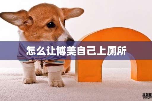 怎么讓博美自己上廁所