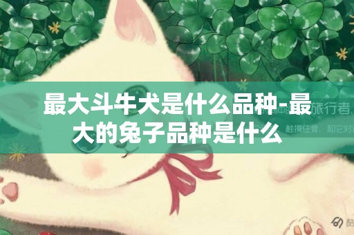 最大斗牛犬是什么品種-最大的兔子品種是什么