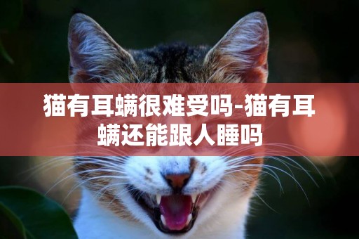 貓有耳螨很難受嗎-貓有耳螨還能跟人睡嗎