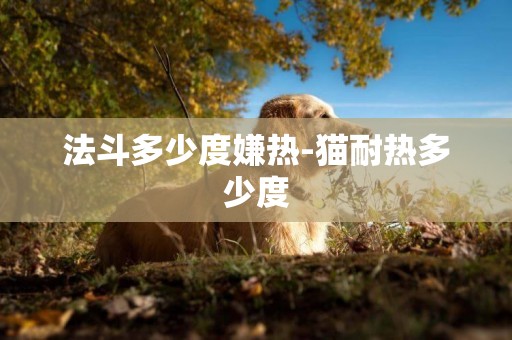 法斗多少度嫌熱-貓耐熱多少度