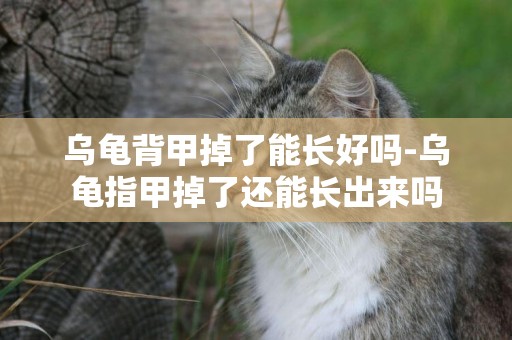烏龜背甲掉了能長好嗎-烏龜指甲掉了還能長出來嗎