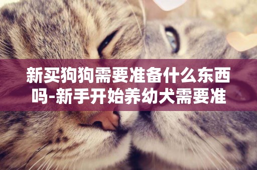 新買狗狗需要準備什么東西嗎-新手開始養幼犬需要準備什么東西