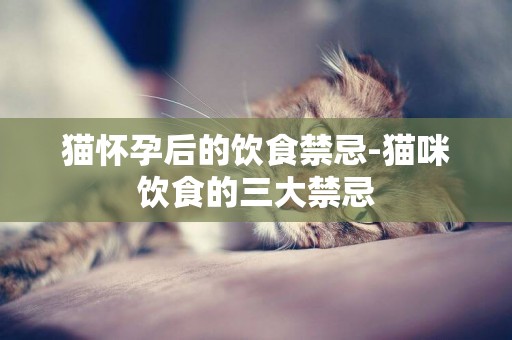 貓懷孕后的飲食禁忌-貓咪飲食的三大禁忌