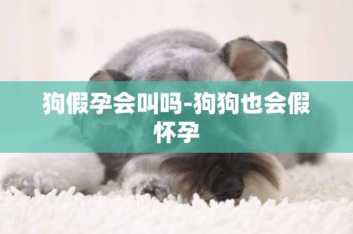 狗假孕會叫嗎-狗狗也會假懷孕