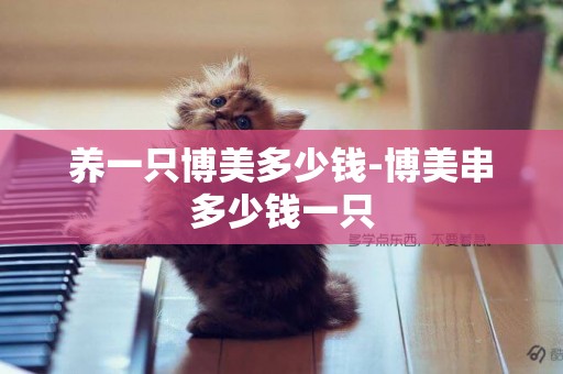 養一只博美多少錢-博美串多少錢一只