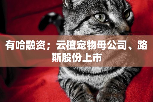 有哈融資;云檀寵物母公司、路斯股份上市 有哈融資;云檀寵物母公司、路斯股份上市