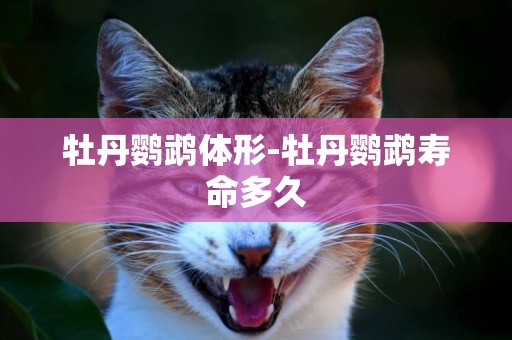 牡丹鸚鵡體形-牡丹鸚鵡壽命多久