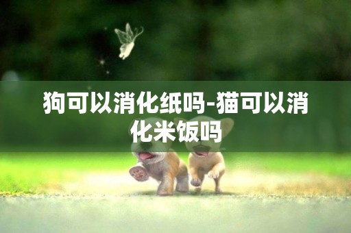 狗可以消化紙嗎-貓可以消化米飯嗎