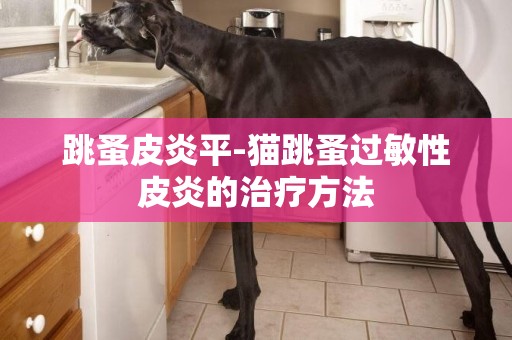 跳蚤皮炎平-貓跳蚤過敏性皮炎的治療方法