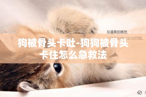 狗被骨頭卡吐-狗狗被骨頭卡住怎么急救法