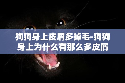 狗狗身上皮屑多掉毛-狗狗身上為什么有那么多皮屑