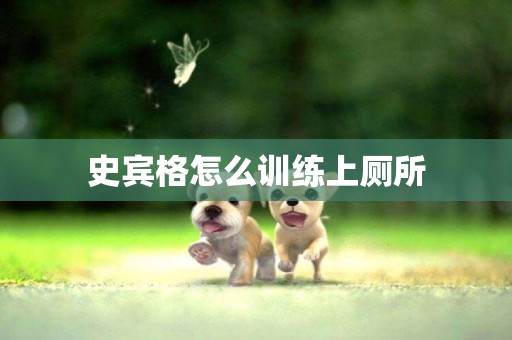 史賓格怎么訓練上廁所