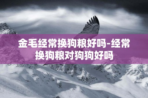 金毛經常換狗糧好嗎-經常換狗糧對狗狗好嗎