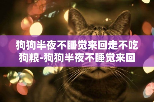 狗狗半夜不睡覺來回走不吃狗糧-狗狗半夜不睡覺來回走