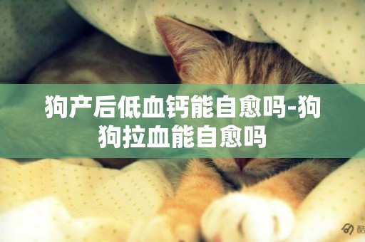 狗產后低血鈣能自愈嗎-狗狗拉血能自愈嗎