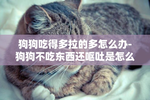 狗狗吃得多拉的多怎么辦-狗狗不吃東西還嘔吐是怎么回事