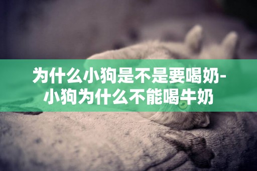 為什么小狗是不是要喝奶-小狗為什么不能喝牛奶