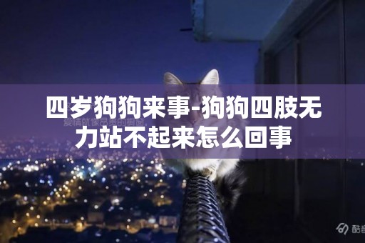 四歲狗狗來事-狗狗四肢無力站不起來怎么回事